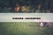 关青春吉他谱（青春吉他谱陈楚生）