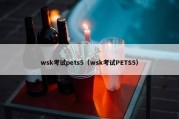 wsk考试pets5（wsk考试PETS5）