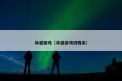 体感游戏（体感游戏切西瓜）