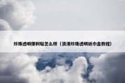 珍珠透明便利贴怎么样（浪漫珍珠透明纸巾盒教程）