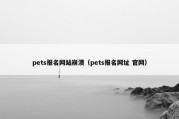 pets报名网站崩溃（pets报名网址 官网）