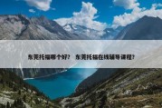 东莞托福哪个好？ 东莞托福在线辅导课程？