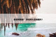 圣诞树数独？ 圣诞树九宫格图片？