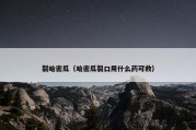 裂哈密瓜（哈密瓜裂口用什么药可救）