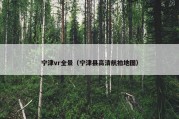 宁津vr全景（宁津县高清航拍地图）
