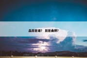 品琵琶谱？ 琵琶曲牌？