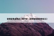 宝安区专业钟点工哪个好（深圳宝安西乡钟点工）