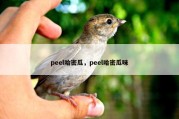 peel哈密瓜，peel哈密瓜味