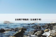 公主殿下钥匙扣（公主殿下书）