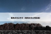 服务式办公中介（服务式办公楼出租）