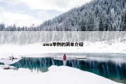 awa举例的简单介绍