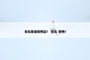 青岛靠谱宠物店？ 青岛 宠物？