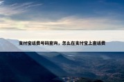 支付宝话费号码查询，怎么在支付宝上查话费