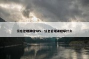 信息管理课程985，信息管理课程学什么