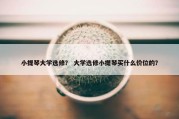 小提琴大学选修？ 大学选修小提琴买什么价位的？