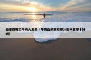 西米露椰浆牛奶火龙果（牛奶西米露和椰汁西米露哪个好喝）