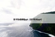 豆子生成课程ppt（豆子生长ppt）