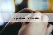 bdge分类照片（照片分类展示）