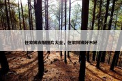 住家姨衣服图片大全，住家阿姨好不好