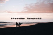 肖邦小提琴独奏？ 肖邦小提琴协奏曲？