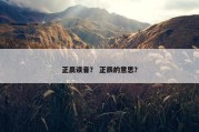 正晨读音？ 正辰的意思？