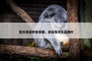 发光圣诞树背景图，圣诞发光礼品图片