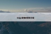 bdge变慢的简单介绍