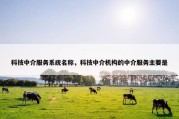 科技中介服务系统名称，科技中介机构的中介服务主要是