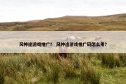 风神途游戏推广？ 风神途游戏推广码怎么用？