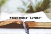 姓名圣诞树手机涂鸦版？ 圣诞树起名字？