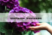 驾校找代练不贵呀（学车找代练有用吗）