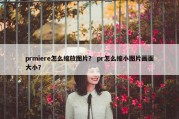 prmiere怎么缩放图片？ pr怎么缩小图片画面大小？