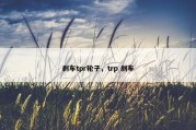 刹车tpr轮子，trp 刹车