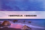 小蜜蜂漂浮笔怎么用，小蜜蜂贴纸在哪弄