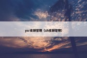 ysr皮肤管理（zh皮肤管理）