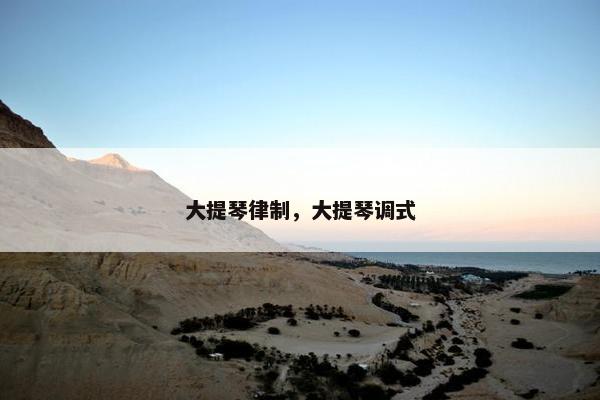 大提琴律制,大提琴调式 大提琴律制,大提琴调式