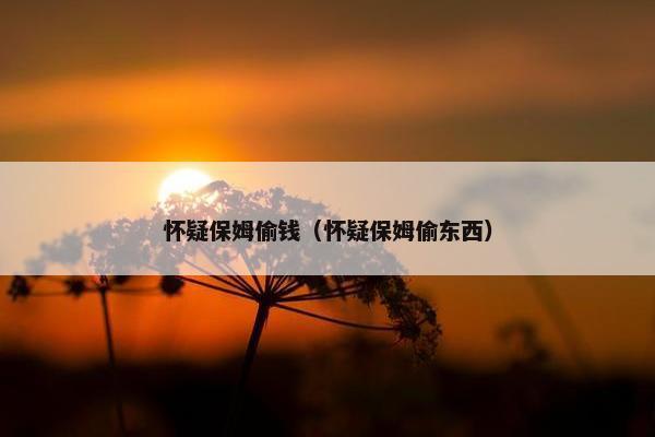 怀疑保姆偷钱(怀疑保姆偷东西) 怀疑保姆偷钱(怀疑保姆偷东西)