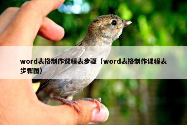word表格制作课程表步骤(word表格制作课程表步骤图) word表格制作课程表步骤(word表格制作课程表步骤图)