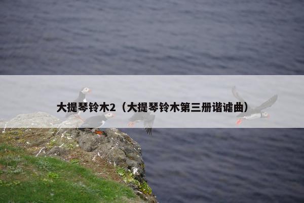 大提琴铃木2(大提琴铃木第三册谐谑曲) 大提琴铃木2(大提琴铃木第三册谐谑曲)