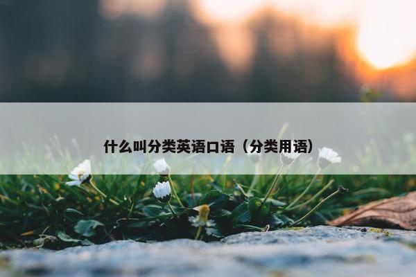 什么叫分类英语口语(分类用语) 什么叫分类英语口语(分类用语)