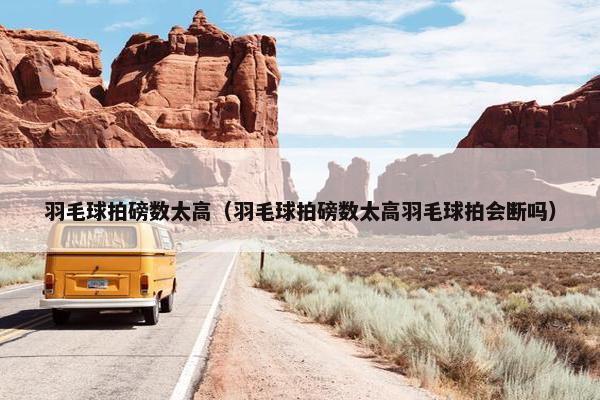 羽毛球拍磅数太高(羽毛球拍磅数太高羽毛球拍会断吗) 羽毛球拍磅数太高(羽毛球拍磅数太高羽毛球拍会断吗)