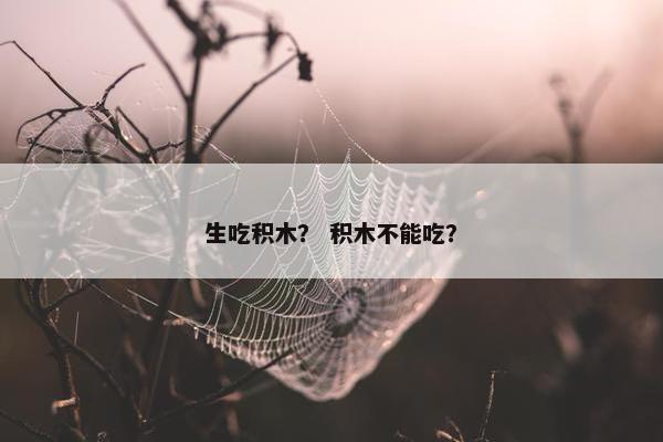 生吃积木? 积木不能吃? 生吃积木? 积木不能吃?
