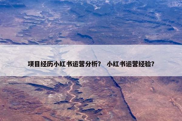 项目经历小红书运营分析？ 小红书运营经验？
