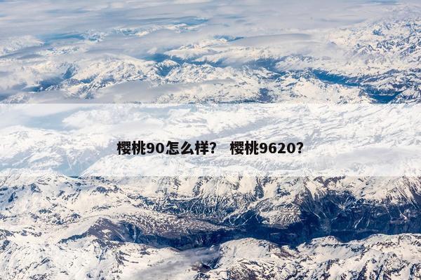 樱桃90怎么样？ 樱桃9620？