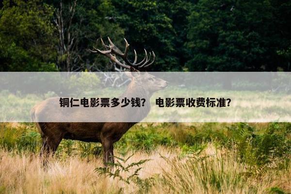 铜仁电影票多少钱? 电影票收费标准? 铜仁电影票多少钱? 电影票收费标准?