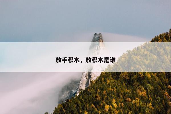 放手积木,放积木是谁 放手积木,放积木是谁