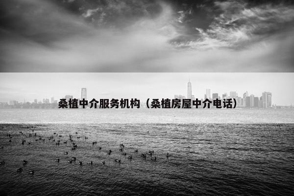 桑植中介服务机构(桑植房屋中介电话) 桑植中介服务机构(桑植房屋中介电话)