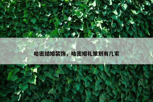 哈密结婚装饰,哈密婚礼策划有几家 哈密结婚装饰,哈密婚礼策划有几家