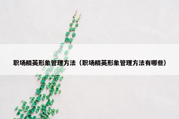 职场精英形象管理方法（职场精英形象管理方法有哪些）