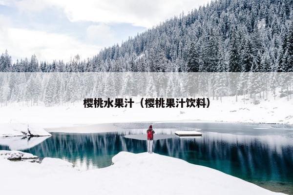 樱桃水果汁（樱桃果汁饮料）